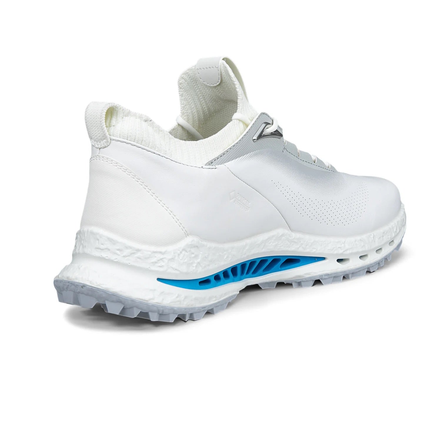 Biom C5 GTX White