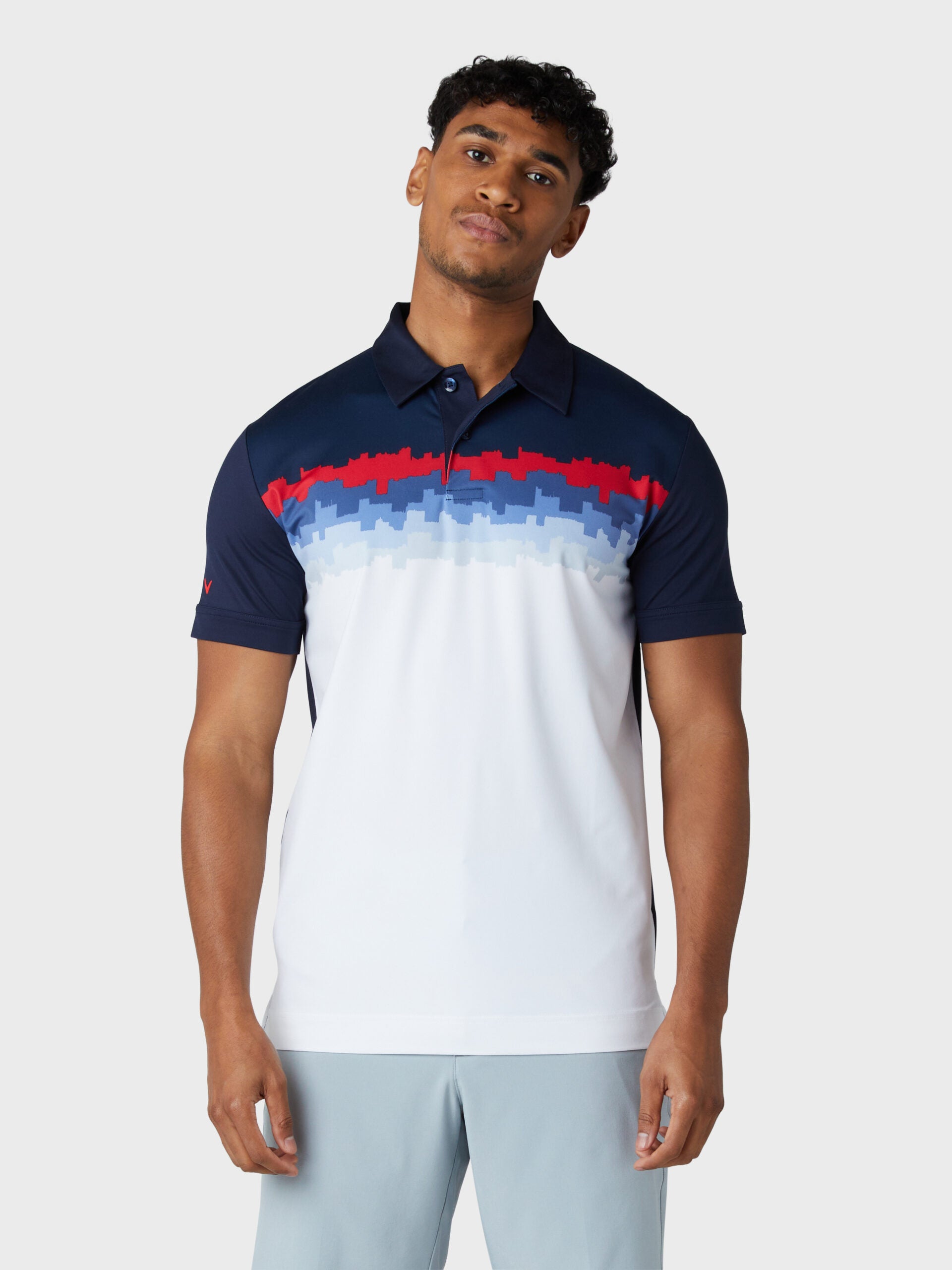 Skyline Block Print Polo