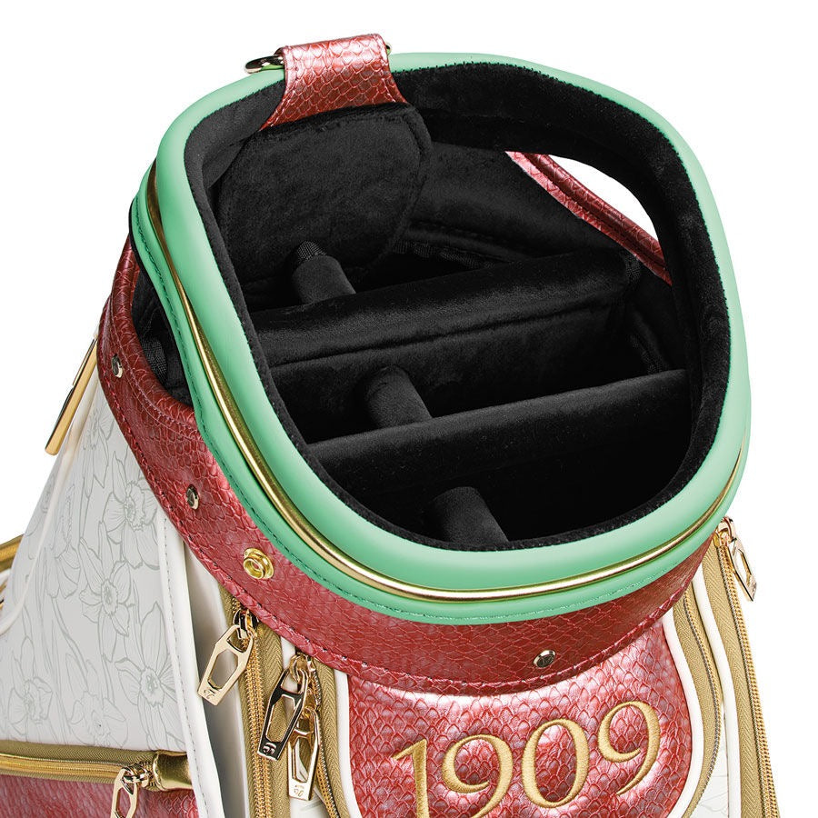 Dragonborn Staff Bag