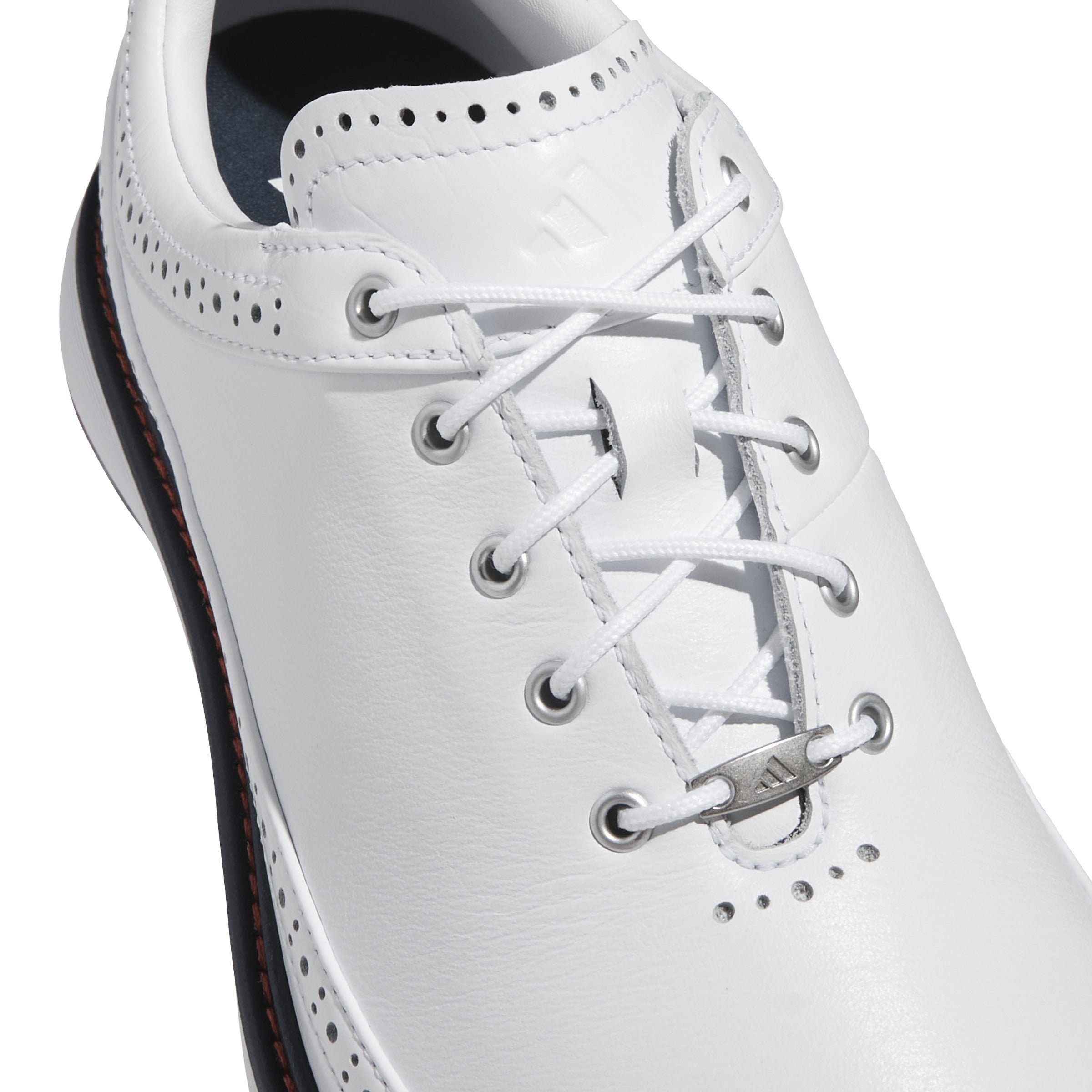 MC80 Spikeless
