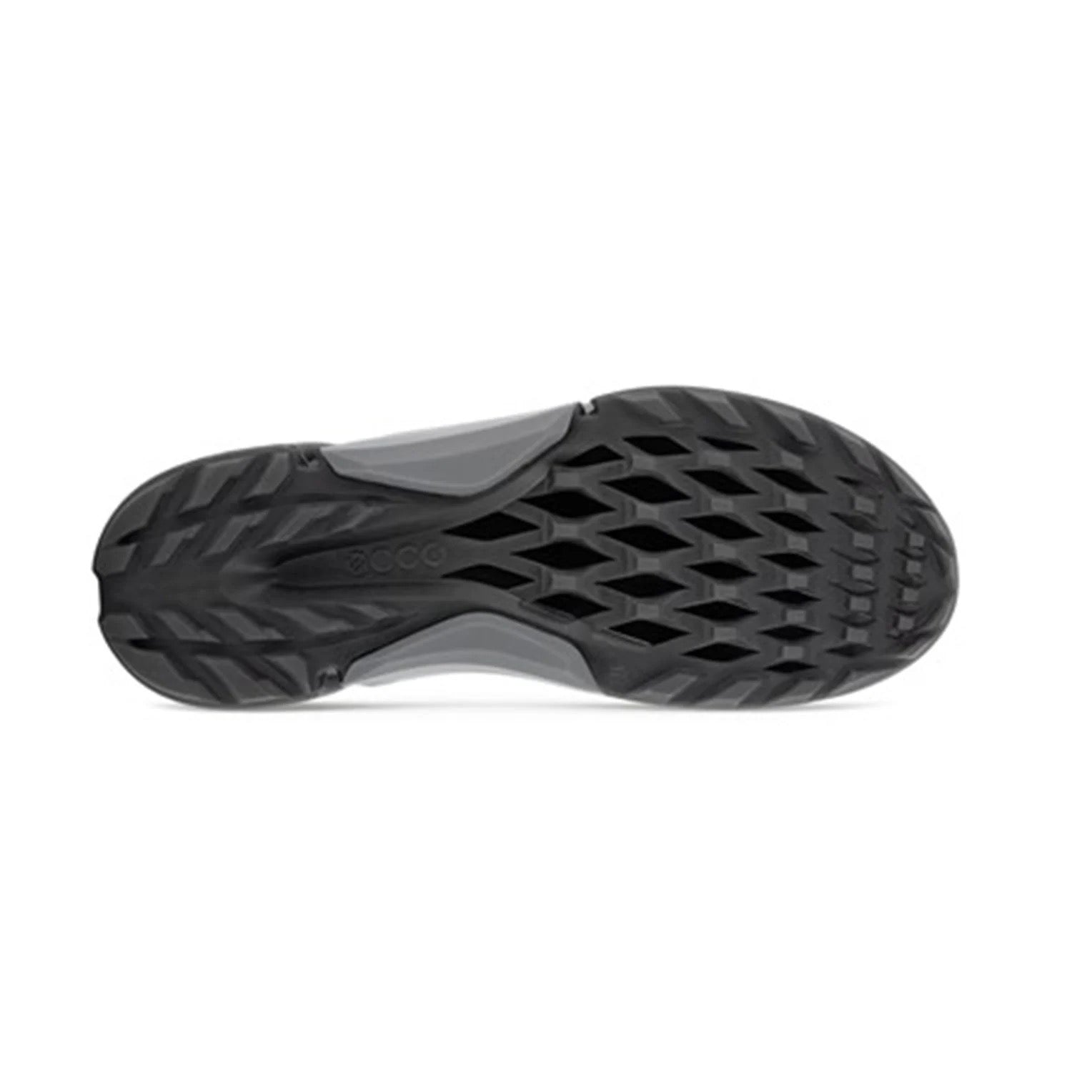 Biom H4
