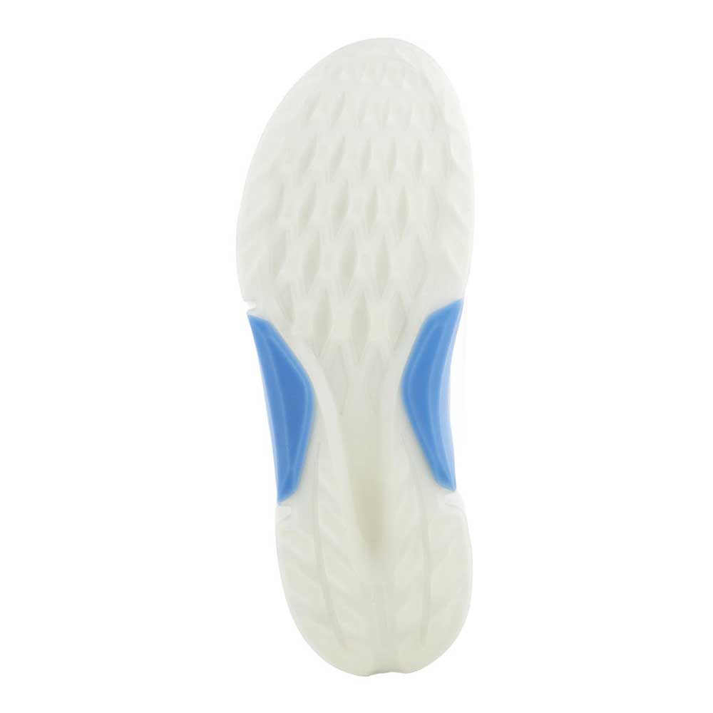 Biom H4